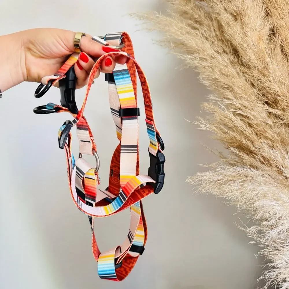 NEW LEEDS Califia Cream Orange Stripe Buckle Dog Collar Step In Harness $85 Set